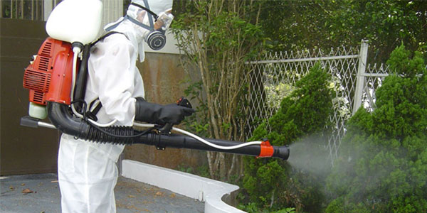 Dedetização de insetos no Horto do Ipê - SP