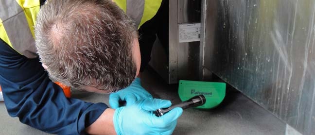 Descupinizadora no Horto do Ipê - SP